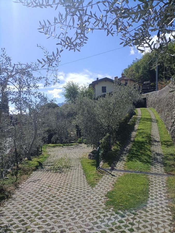 Oliveto LarioCasa Delle Olive 1アパートメント エクステリア 写真